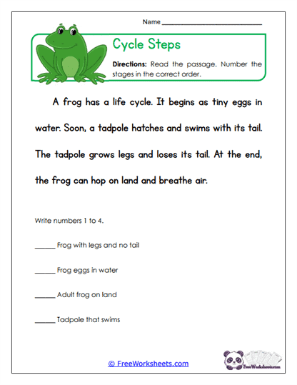 Cycle Steps Worksheet