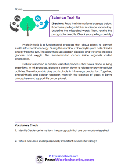 Homophone Hunt Worksheet