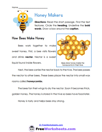Feature Match Worksheet