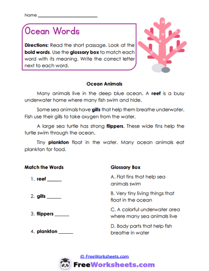 Weather Guide Worksheet