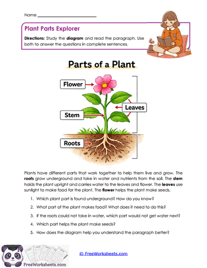 Diagram Discovery Worksheet