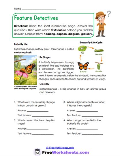 Feature Sort Worksheet