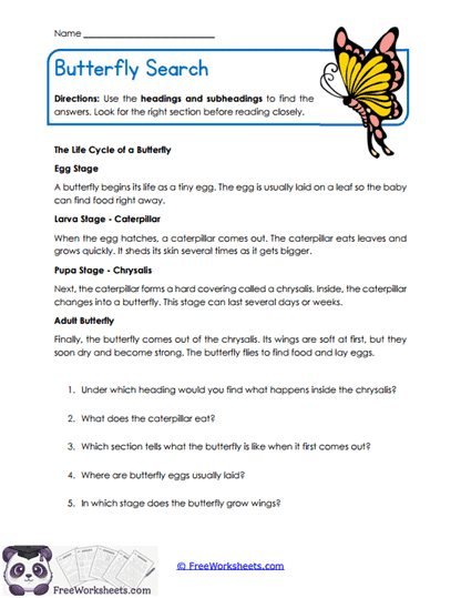 Butterfly Search Worksheet