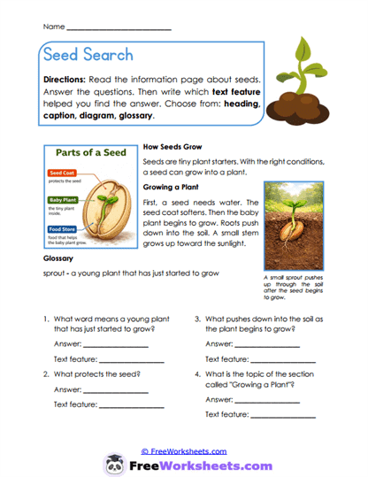 Honey Makers Worksheet