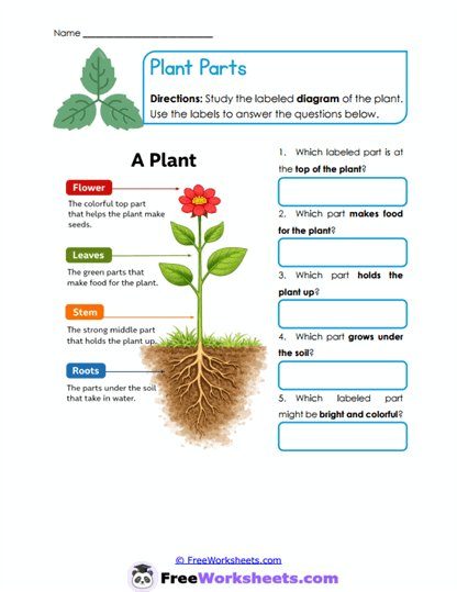 Ocean Words Worksheet
