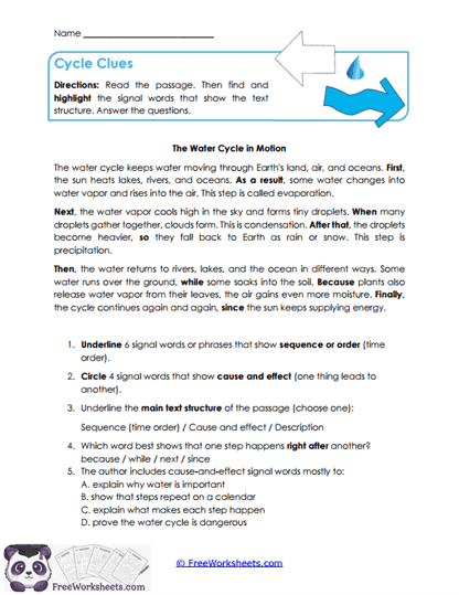 Cycle Clues Worksheet
