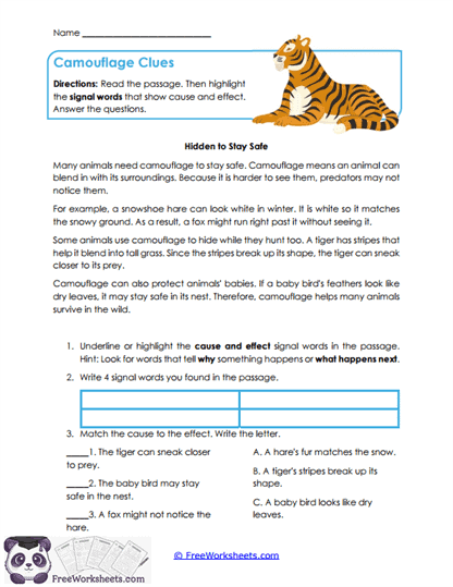 Camouflage Clues Worksheet