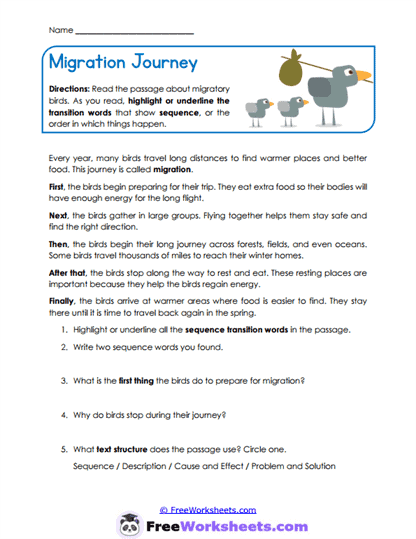 Migration Journey Worksheet