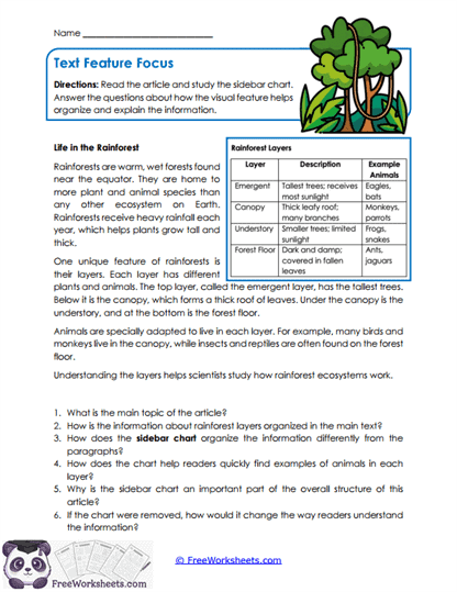 Text Feature Focus Worksheet
