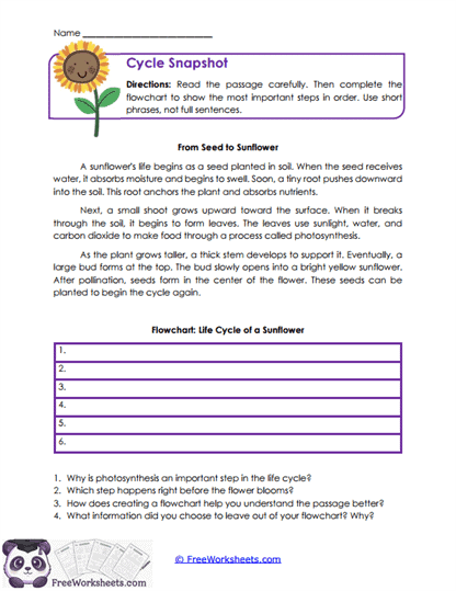 Cycle Snapshot Worksheet