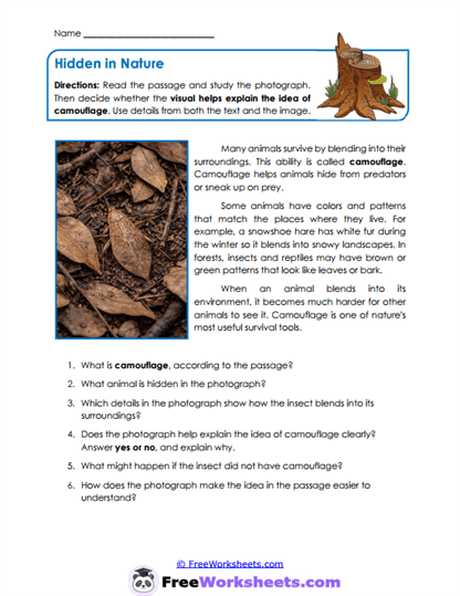 Camouflage Clues Worksheet