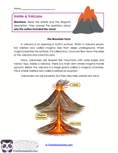 Diagram Purpose Worksheet