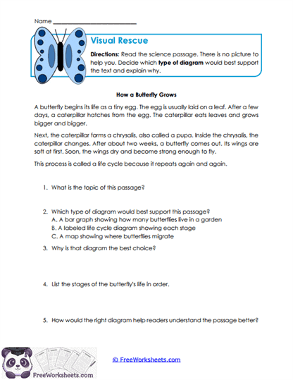Diagram Choices Worksheet