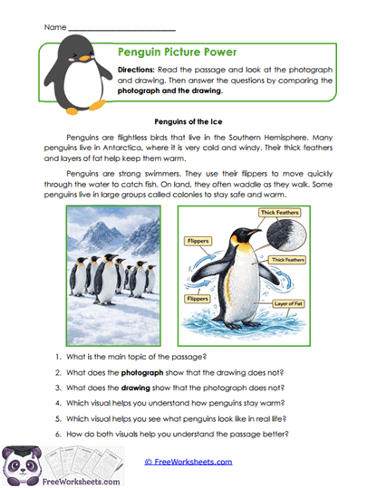 Picture Partners Worksheet