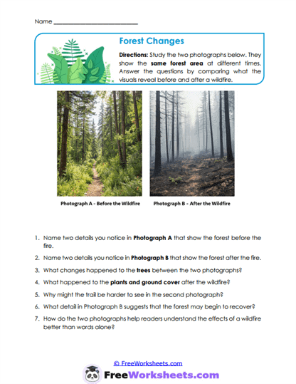 Visual Comparisons Worksheet