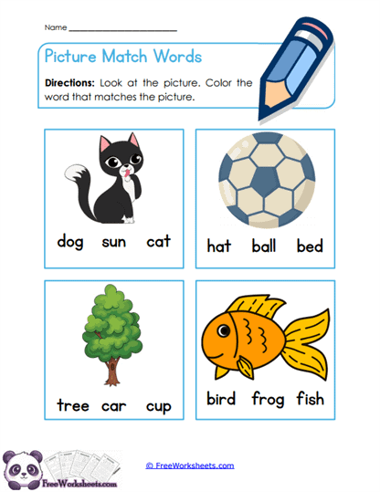 Picture Match Words Worksheet